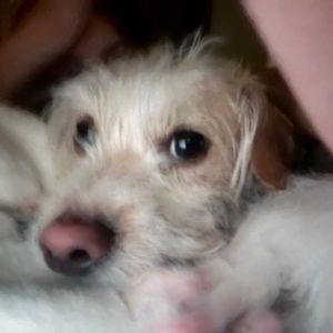 Meet your Posher, Kaitley